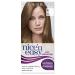 Clairol Nice'n Easy No Ammonia Hair Dye 91 Dark Blonde 91 Dark Blonde 3 Count (Pack of 1)