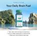 Magic Mind MAXX Energy and Focus Drink Shots - Stress Relieving No Jitters Ashwagandha Vitamin B12 Vitamin C Matcha Green Tea Functional Mushrooms 165mg Caffiene - 2 FL Oz (15 Pack) - Buy Online on GoSupps.com