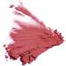 Color Pro Blush Fine Wine (10941) - Vibrant and Long-Lasting Cheek Color - Buy Online on GoSupps.com