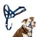 Halti head harness-prevents your dog from pulling on a leash simple adaptation light with padded nose strap anti-train neck band for medium-sized dogs (size 2 cobalt blue) cobalt blue 2