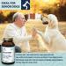 PURICA Pet Recovery Powder - 350g Dog Joint and Hip Supplement Joint Care for Enhanced Mobility & Comfort - Buy Online on GoSupps.com