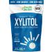 Health Garden Birch Xylitol Sweetener - Non GMO - Kosher - Made in the U.S.A. - Keto Friendly (12 OZ) 12 Ounce (Pack of 1)