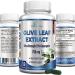 Premium Olive Leaf Extract - Extra Strength: 20% Oleuropein - 750mg - Vegetarian - No Oil - Immune Support & Antioxidant Supplement, non-GMO - 60 Capsules