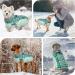 Buy Kuoser Warm Dog Jacket - Reflective Windproof Winter Coat for Small & Large Dogs | Stylish & Functional XL Dark Green - Buy Online on GoSupps.com