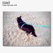 5m Dog Leash Towline - Stable Hand Loop Water & Dirt Repellent for Strong Dogs - Cyan Blue - Buy Online on GoSupps.com