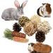 LLGLEU 2 Pcs Grass Mat for Rabbit with 4 Play Balls Pine Cone Carrot Bunny Chew Toy Natural Woven Bed Mat Molar Teeth Set for Guinea Pig Chinchilla Squirrel Hamster and Small Animal (Typ1) - Buy Online on GoSupps.com