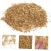 WOONEKY 1 Glass in Bulk DIY Crafts Bulk Epoxy Resin Mini Wooden Decorations Vintage Glass Vintage Bud Irregular Glass Glitter Manicure Fillers Bulk Chips Accessories Nail 0.5X0.3cm Golden - Buy Online on GoSupps.com