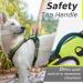 Buy Eagloo Medium Dog Harness - Adjustable Durable Anti- Pull with Reflex Strips for Walking & Jogging - Green M (1 Pack) - International Shipping Available - Buy Online on GoSupps.com