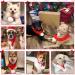 Naler Dog Christmas Scarf - Festive Red Dog Costume for Small Pets - Perfect Holiday Outfit for Dogs - Buy Online on GoSupps.com