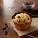 Betty Crocker Chocolate Chip Muffin Mix 6.5 oz - Pack of 9 | Delicious Bakery-Style Treats for Any Time of Day - Buy Online on GoSupps.com
