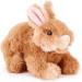 Zappi Co 100% Recycled Plush Rabbit Toy (15cm) - Eco-Friendly Stuffed Animal for Newborns - Buy Online on GoSupps.com
