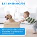 4 Pack Eco-Baby Sliding Door Locks - Childproof Safety Window Locks for Glass Doors (Grey) - Buy Online on GoSupps.com