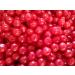 Sunrise Cherry Sours Chewy Candy Balls - 3 lbs of Tart Fresh Delicious Bulk Candy 3 Pound (Pack of 1)