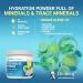 Dr. Berg Electrolyte Powder - Electrolyte Drink Supplements with 1000mg Potassium - Hydration Powder Full of Minerals & Trace Minerals - Contains Stevia Sweetener - Lemonade Flavor 50 Servings Lemonade - 50 Servings - Buy Online on GoSupps.com