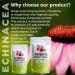 Vitaherbs Echinacea Tablets 200mg - Vegan, Premium Quality - Made in the UK | 100 Count (Pack of 1) - Buy Online on GoSupps.com