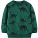 Boys Dinosaur Sweatshirt - Cotton Long Sleeve Pullover - Green - Sizes 1-8 Years - Buy Online on GoSupps.com