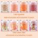 GABOX Sunset Orange Cosmetic Glitter Set 8 Jars Holographic Chunky Glitter Iridescent Sequin Flakes for Nail Body Face & Crafting - Buy Online on GoSupps.com