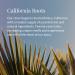 Archipelago Botanicals Botanico de Havana Eau de Toilette Spray for Men and Women Long-lasting Personal Fragrance for Everyday Use Scent Notes of Bergamot Orange Peel & Honeysuckle 1.58 fl oz - Buy Online on GoSupps.com