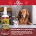 KinderPet Pee Stop Spray Urine Stop for Cat and Dog Repellent Stop Cats and Dogs Repeat Marking Indoors and Outdoors 100% Natural Enzyme Urine Destroyer 250ml - Buy Online on GoSupps.com