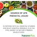 Nature's Plus Prenatal Liquid - Tropical Fruit Flavor, 30 fl oz | Natural Multivitamins for Moms - Buy Online on GoSupps.com