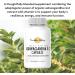 Revitalize Wellness Ashwagandha + Vitamin C Capsules | Stress and Immune Support Complex | with 550 mg Ashwagandha and 200 mg Vitamin C per Serving | 30 Servings - Buy Online on GoSupps.com