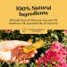 Poppy & Pout 10pk Gift Box | Natural Lip Balm in Sustainable Tubes - Handmade, Cruelty-Free with Beeswax, Vitamin E, Organic Coconut Oil | All Flavors Included - Buy Online on GoSupps.com