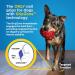 Dr. Buzby's ToeGrips for Dogs - Medium - 20 grips - Buy Online on GoSupps.com