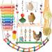KAKUNM 12PCS Chicken Coop Toys: Xylophone, Swing Set, Mirror, Ladder, Vegetable String Bag & Feeder - Fun Activities for Hens - Buy Online on GoSupps.com