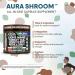 AuraShroom Mushroom Supplement Lions Mane Turkey Tail Cordyceps Reishi Shiitake Chaga Oyster Stress Relief Immune Support Nootropic Energy Portobello Mushrooms 60 Capsules by Clean Nutra - Buy Online on GoSupps.com