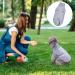 Dog Sweater Turtleneck Dog Jumper Winter Knitted Pet Pullover Warm Puppy Sweater Coat Vest Knitwear Clothes Crochet Dog Apparel for Small Medium Dogs and Cats Autumn Winter Indoor Outdoor (S) - Buy Online on GoSupps.com