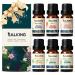 Essential Oils Gift Set SALKING 100% Pure Aromatherapy Therapeutic Grade Scented Oils for Oil Diffusers 6 x 10 ml(Lavender Rose Cherry Blossom Ylang Ylang Gardenia Chamomile)