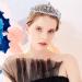 Crystal Rhinestone Wedding Tiara Crown - Elegant Silver Bridal Headpiece for Women and Girls - Buy Online on GoSupps.com