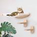 Cat Shelves, Cats Wall Hammock, Catwall Furniture Shelf and Perches, 18"x22", 2 Stairs, Plywood, Mounted Steps for Climbing, Kitty Lotus Bed, Walls Mount Perch, Wallmounted Climber Stair | Houseables
