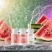 Watermelon Flavored Probiotic Vaginal Suppositories | Aloe Vera & pH Balance Support - Peachbody 30 Vegetable Capsules - Buy Online on GoSupps.com