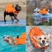 Buy Darryy Shark Life Jacket for Dogs - Eye-Catching Orange MM Style | International Shipping Available - Buy Online on GoSupps.com