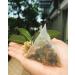  DLIC TEA DLIC TEA Taiwan Osmanthus Oolong Guinhua Oolong Set of 10 pyramidal tea bags 3 g - Buy Online on GoSupps.com