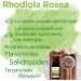 Swanson Rhodiola Rosea Root (Rose Root Extract) 400mg 100 Capsules High Dosed Lab Tested Soy Free Gluten Free Non-GMO - Buy Online on GoSupps.com