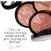 Laura Geller Baked Blush-n-Bronze Marbleized 2-in-1 Sculpting Bronzer Blush - Earthy Bronze - Buy Online on GoSupps.com