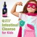 Cedar Bear Intestinal Cleanse for Kids - Alcohol-Free Liquid Herbal Supplement for Digestive Detox - Natural Gut Cleanse Drops for Children - 1 fl oz/30 ml - Buy Online on GoSupps.com
