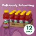 V8 Splash Berry Blend Juice Beverage 16oz Bottle (Pack of 12) - Refreshing Fruit Flavor - Buy Online on GoSupps.com