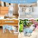 Tony Hoby Dog Librap - Adorable 4-Leg Dog Overall with Cupcake Design for Small to Medium Dogs - Comfortable Relax Suit in Blue - Buy Online on GoSupps.com