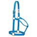 WEAVER Leather Non-adjustable halter Hurricane blue Yearling