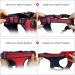 Nestroad Large Dog Harness & Leash Set - Red Size L for Dogs 38-48cm Neck & 48-74cm Chest | Includes Dog Seat Belt - Buy Online on GoSupps.com