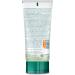 The Himalaya Drug Company Himalaya Purifying Neem Face Wash with Neem & Turmeric For Normal to Oily Skin Formulated with 100 Herbal Ingredients 150ml Pack of 2 - Buy Online on GoSupps.com