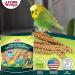 Living World Spray Millet 17.6 Oz - Nutritious Treat for Birds - Buy Online on GoSupps.com