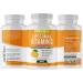 Potent Naturals Liposomal Vitamin C 1500mg - 180 Vegan Capsules | High Dose Ascorbic Acid for Immune Health | Non-GMO - Buy Online on GoSupps.com