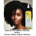 Rosemary Hair Growth Oil - Biotin & Panthenol for Curly & Coily Hair | Reduce Hair Loss & Strengthen Weak Hair - Buy Online on GoSupps.com