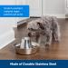 PetSafe Seaside Stainless Pet Fountain - 1 Count | Hygienic & Refreshing Water Dispenser - Buy Online on GoSupps.com