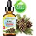 Botanical Beauty Pine Essential Oil Siberian Pure Natural Undiluted Therapeutic Grade Essential Oil 1 Fl.oz.- 30 ml for Aromatherapy Soaps Candles Diffuser & Reed Diffusers - Buy Online on GoSupps.com