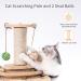 Interactive 2-Layer Cat Turntable Toy with Feather - Includes 8 Balls and 2 Sisal Dangling Balls - Cat Scratching Post for Indoor Cats - Buy Online on GoSupps.com